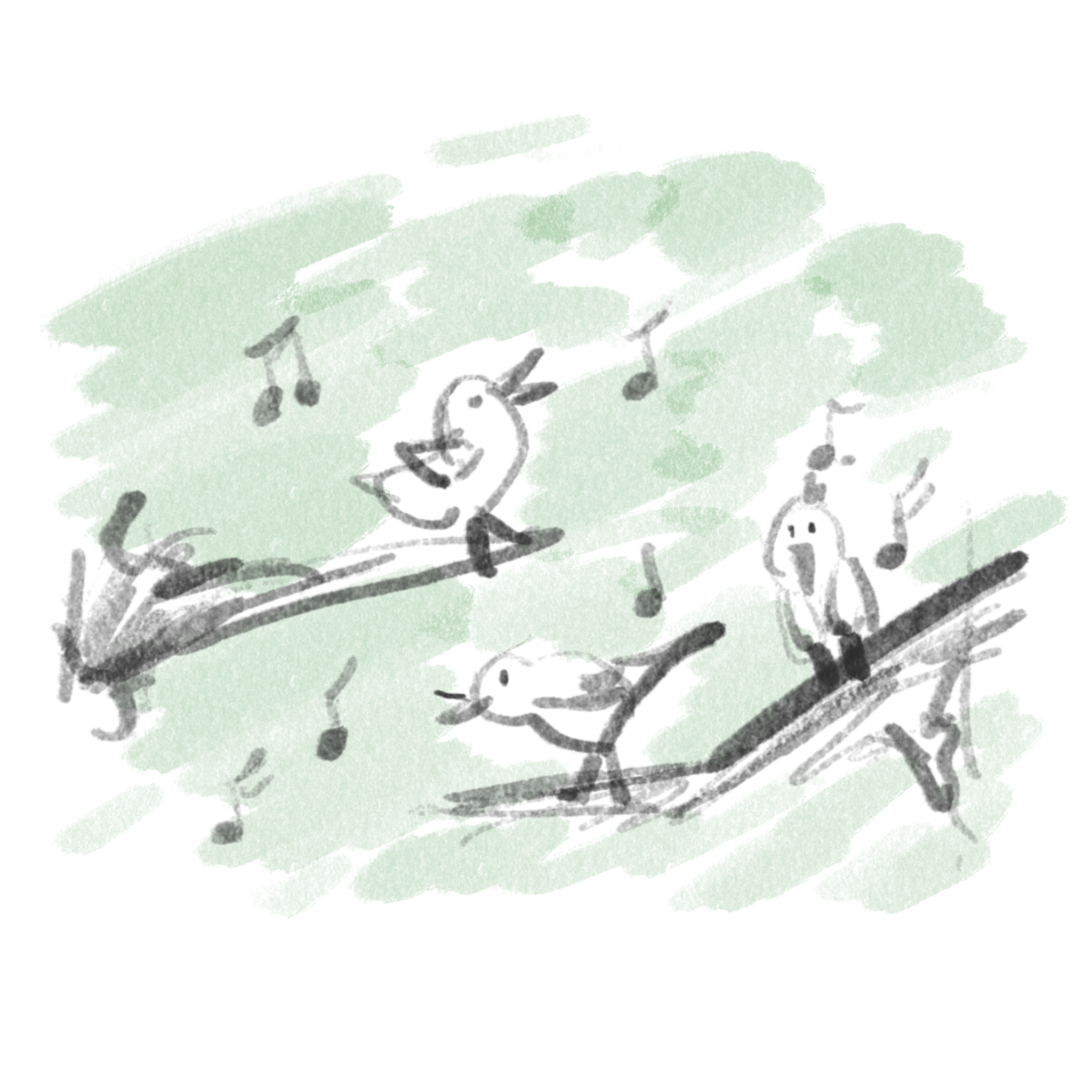 The Fascinating World of Birds