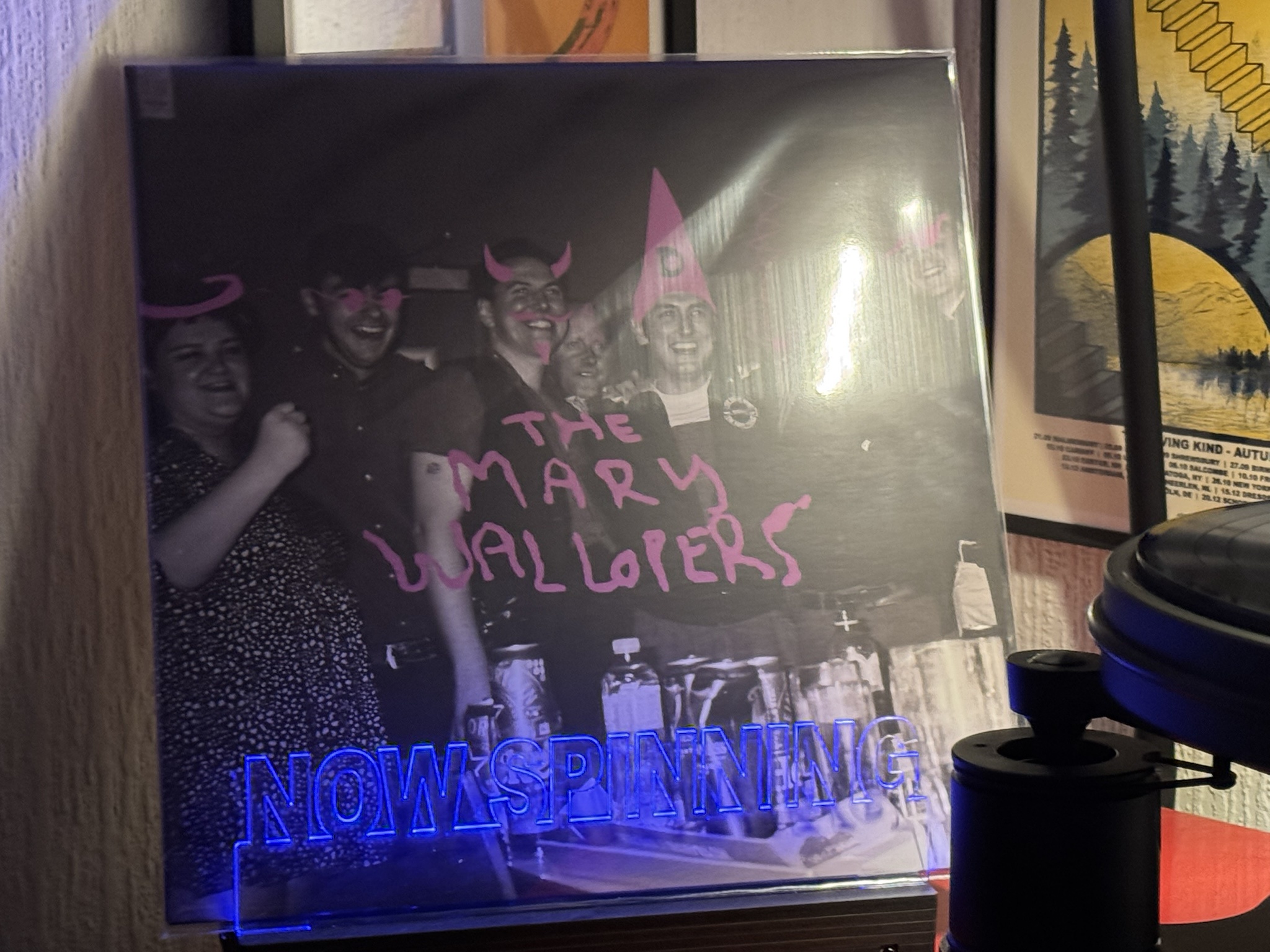 The Mary Wallopers: A Musical Journey with The Mary Wallopers