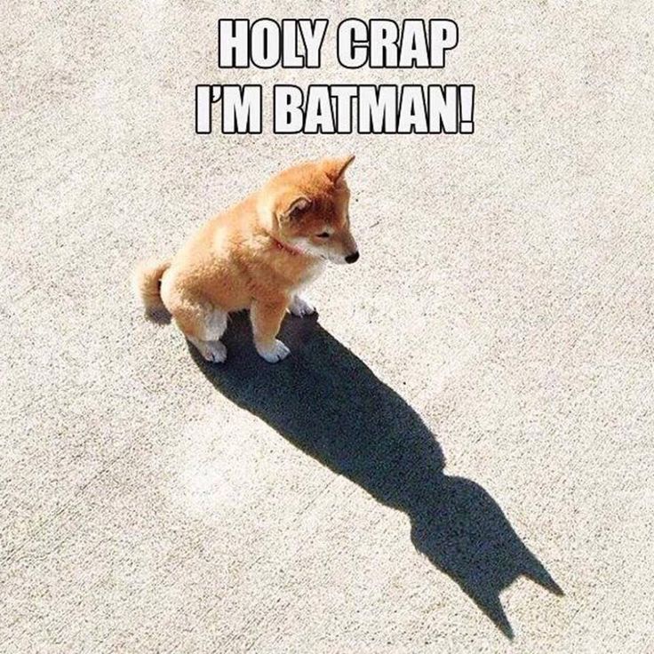 Holy moly, I'm Batman!