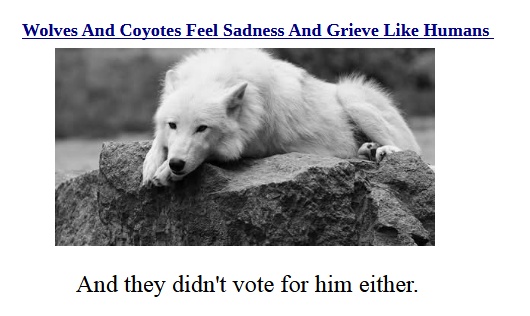The Rise of Sadness: A Growing Concern