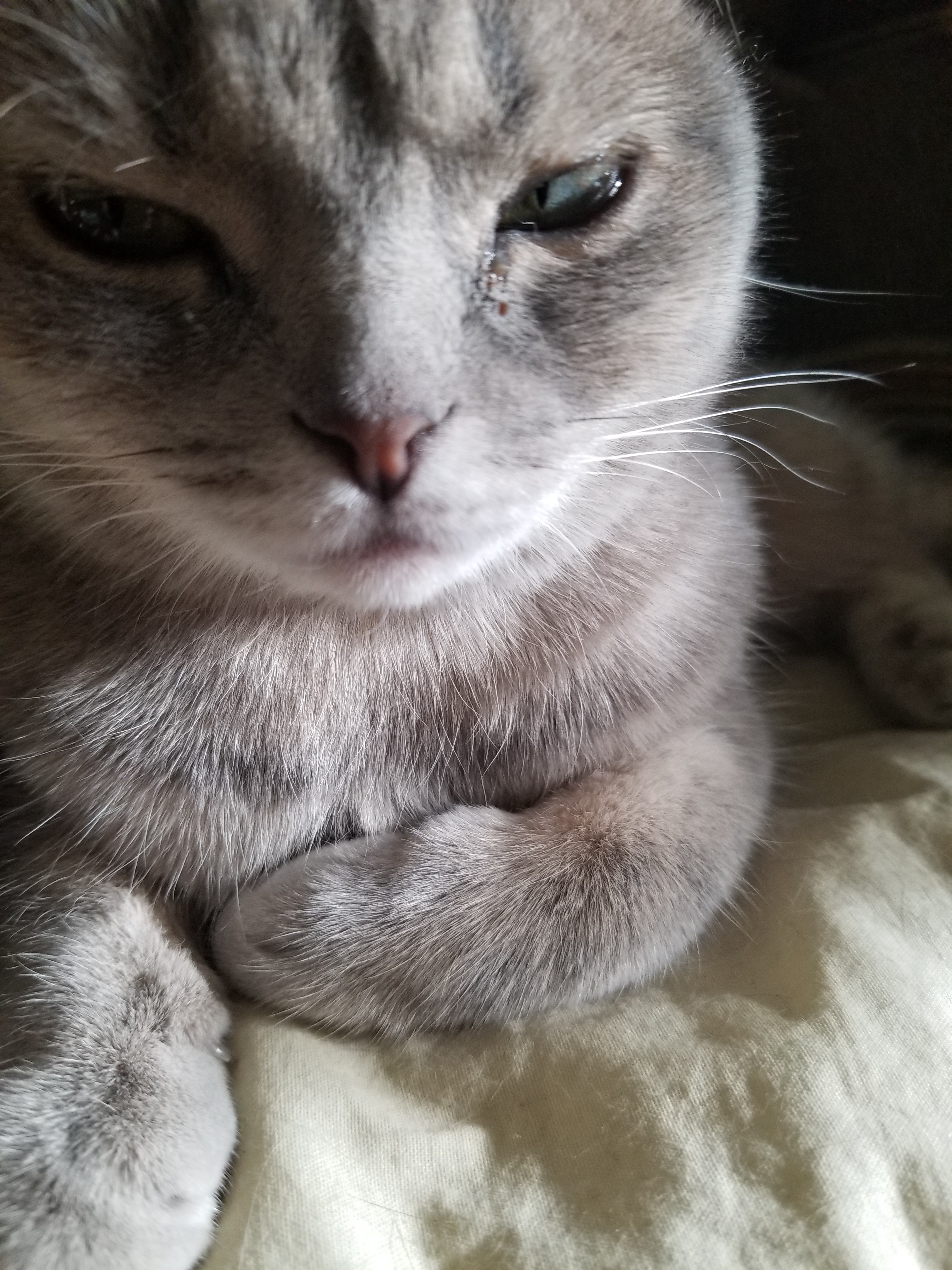 What’s Making Her Cry? The Mystery Unfolds