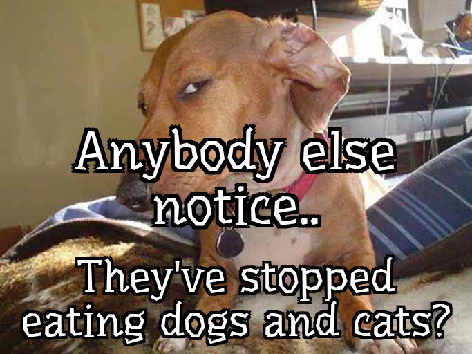 They've Stopped... But Why?