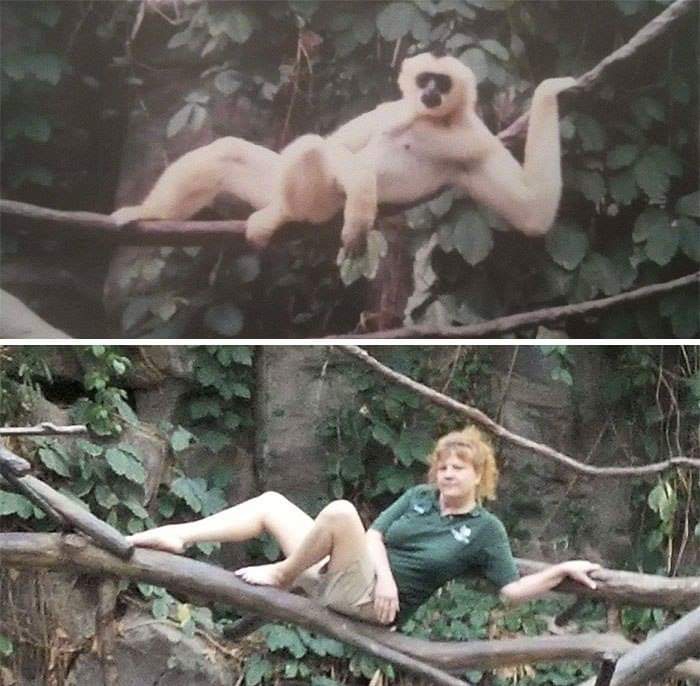 Celebrating the quirky and passionate biologists and zookeepers out there!