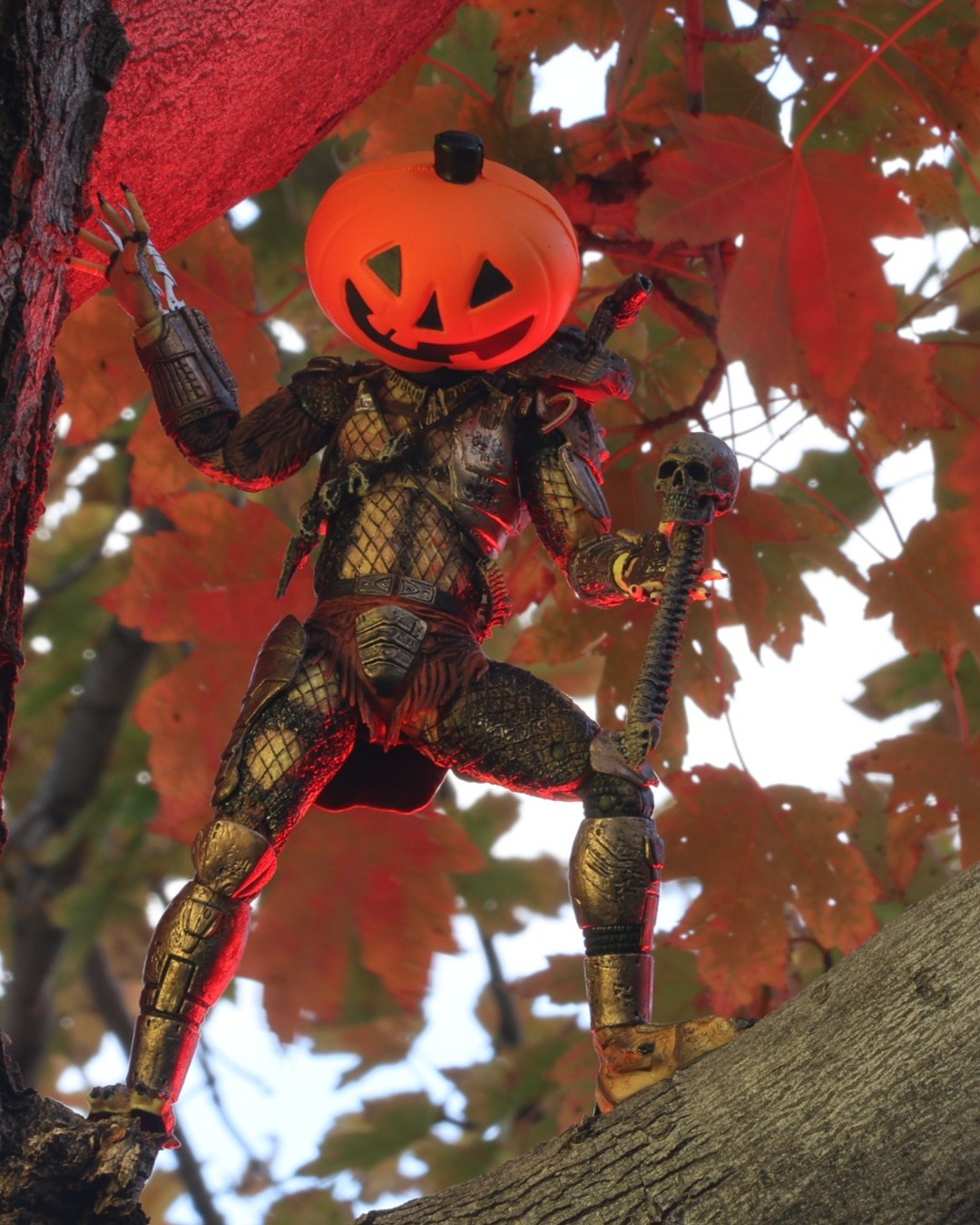 The Hunter's Clever Adaptation to Its Surroundings