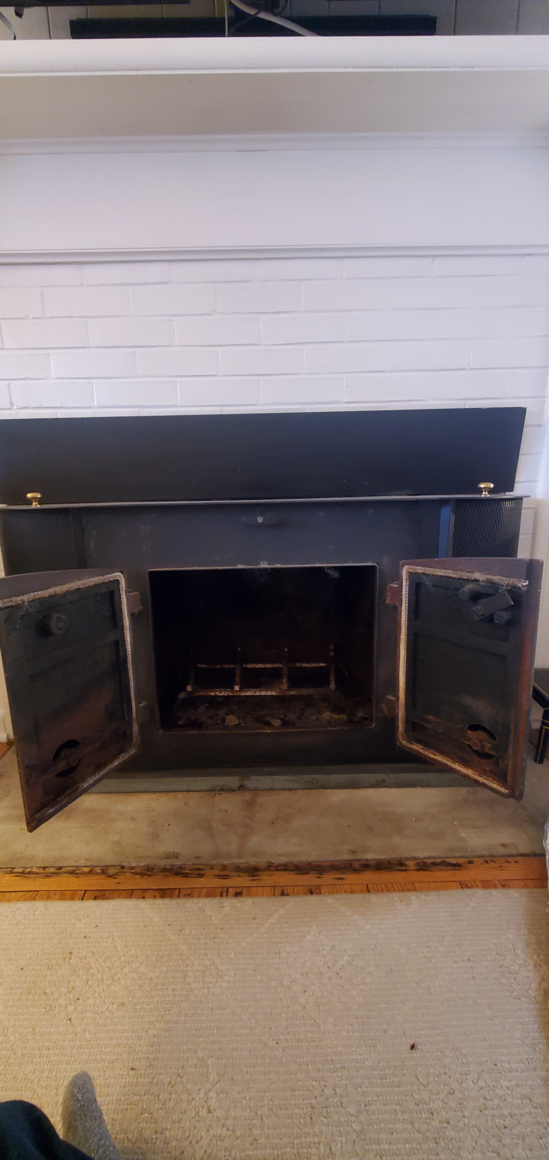 A fireplace insert that's seen better days