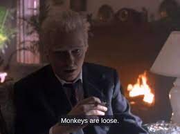 Watch out, the monkeys are on the loose!