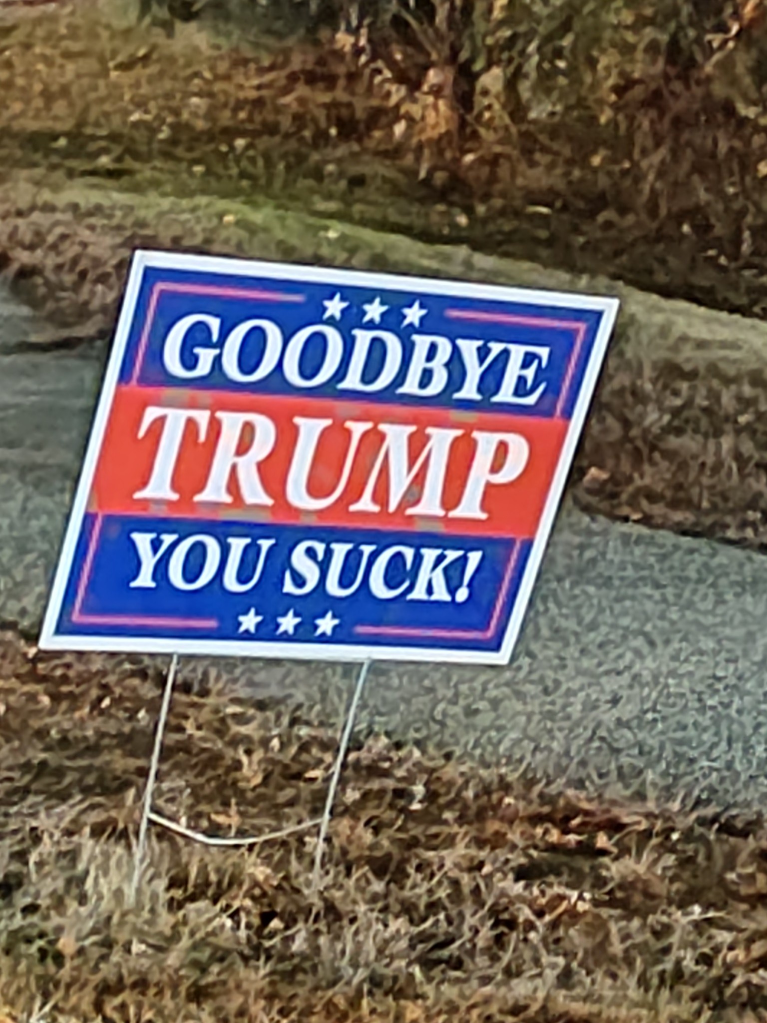A Hilarious Sign Spotted Among a Bunch of Others in NH