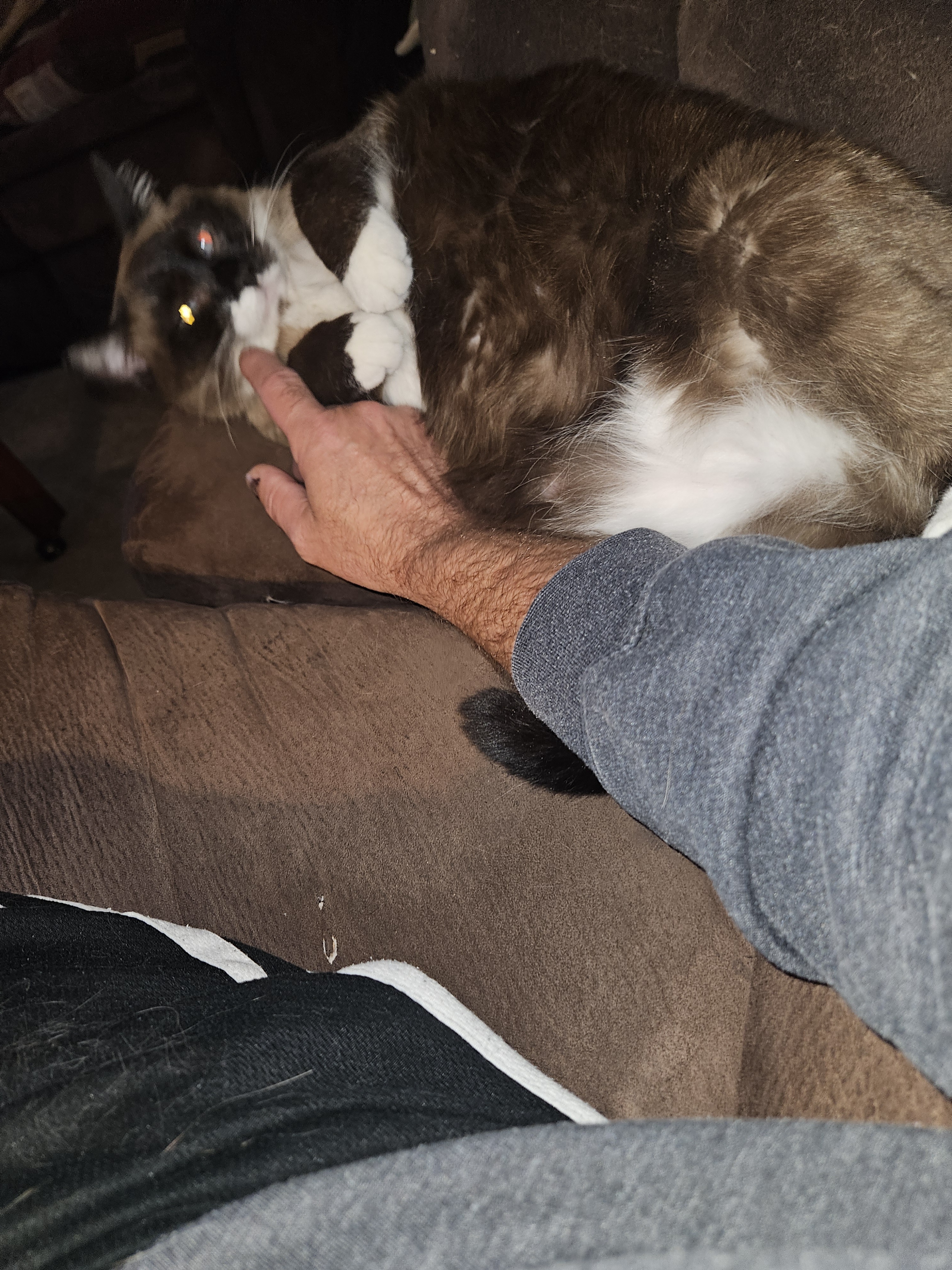 Another thrilling hockey match, another cozy cuddle with Storm.