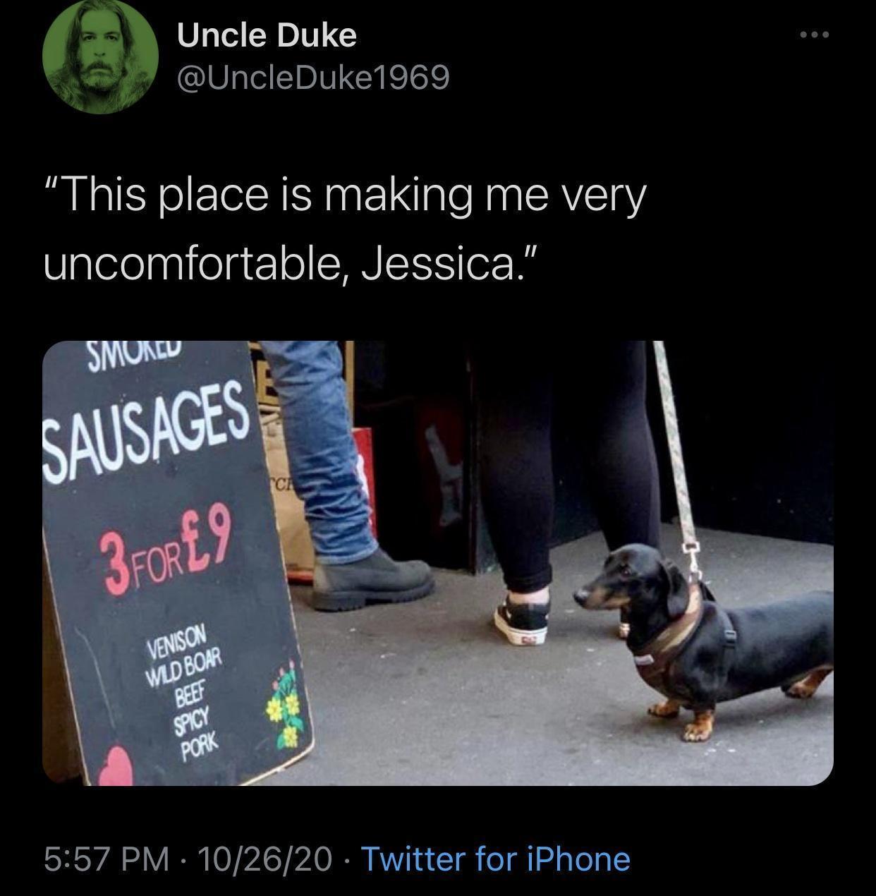 39 Hilariously Paw-some Dog Memes to Brighten Your Day