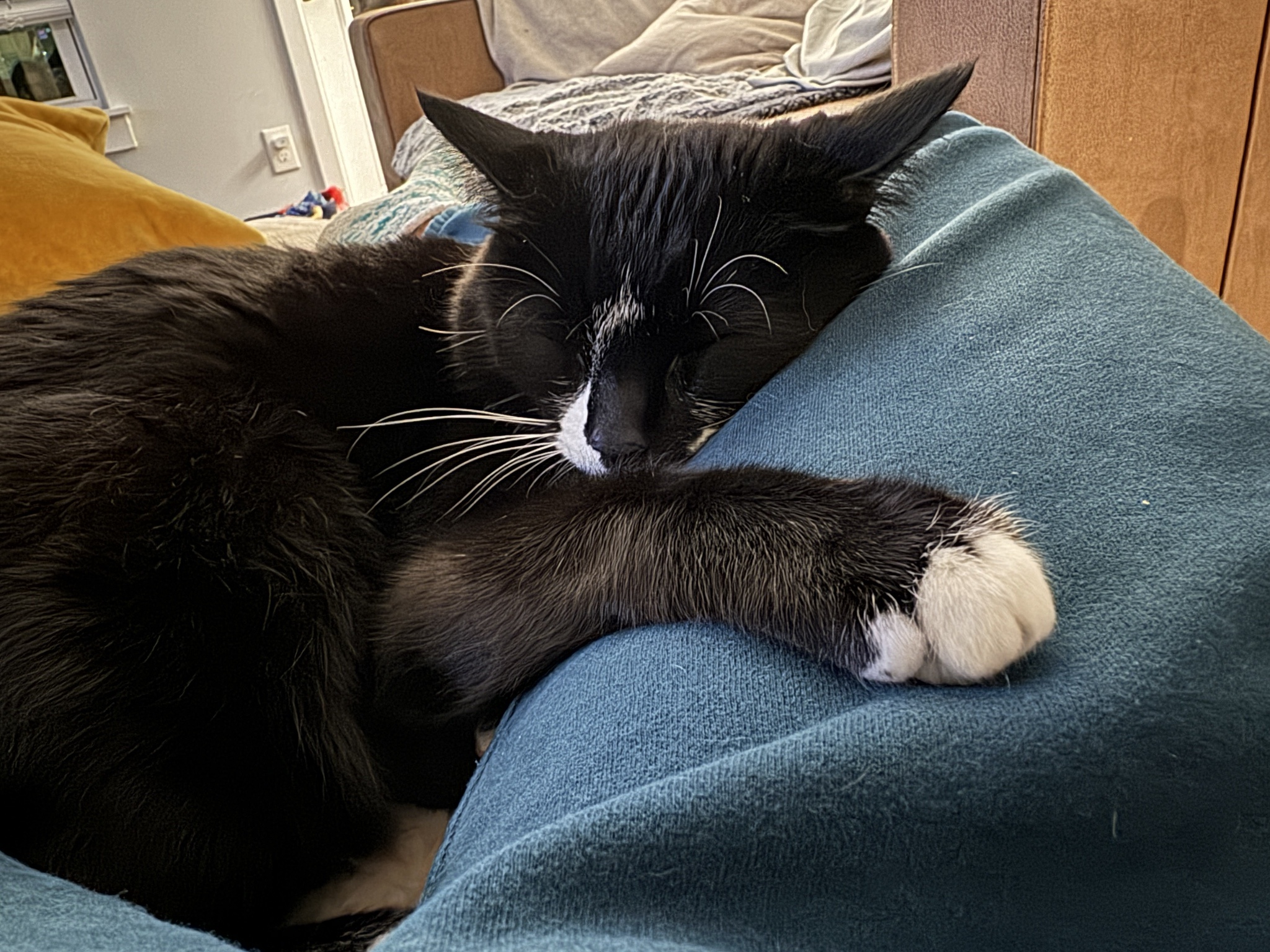 The Cozy Conundrum: Choosing Comfort Over Everything