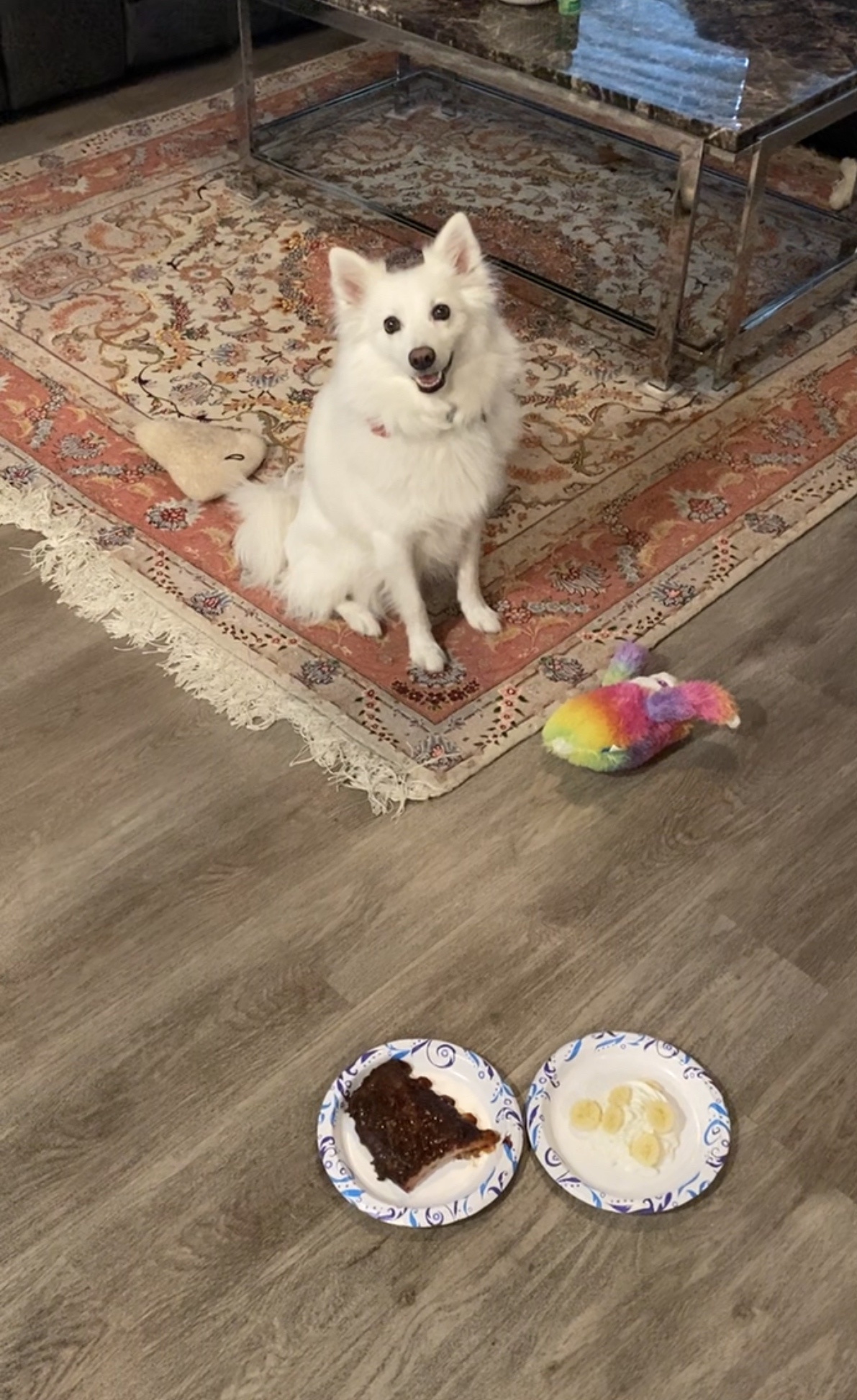 Celebrating Adoption Day with This Bundle of Joy