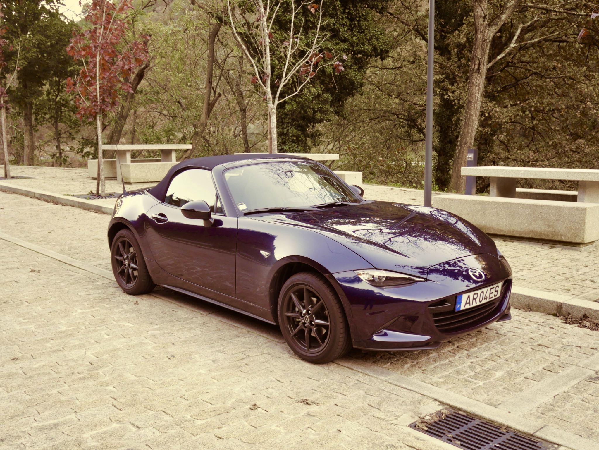 Cheers to the Miata Club - Count Me In!