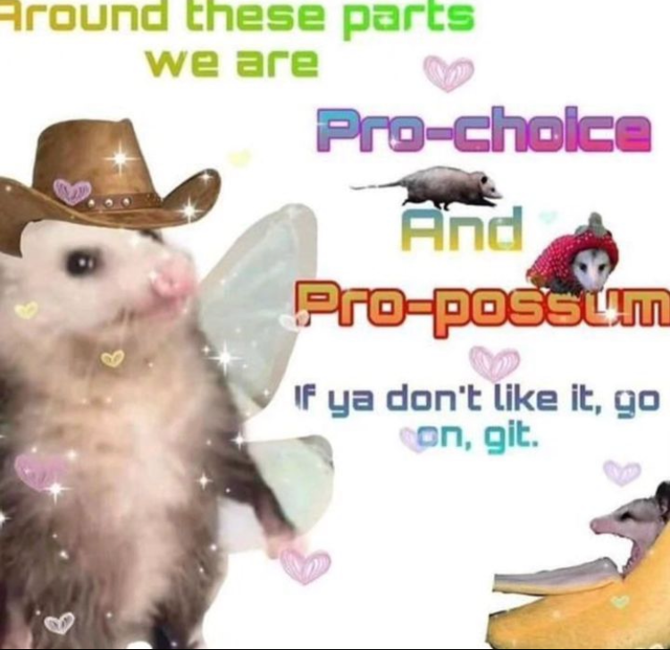 A Collection of Random Memes Across Various Themes