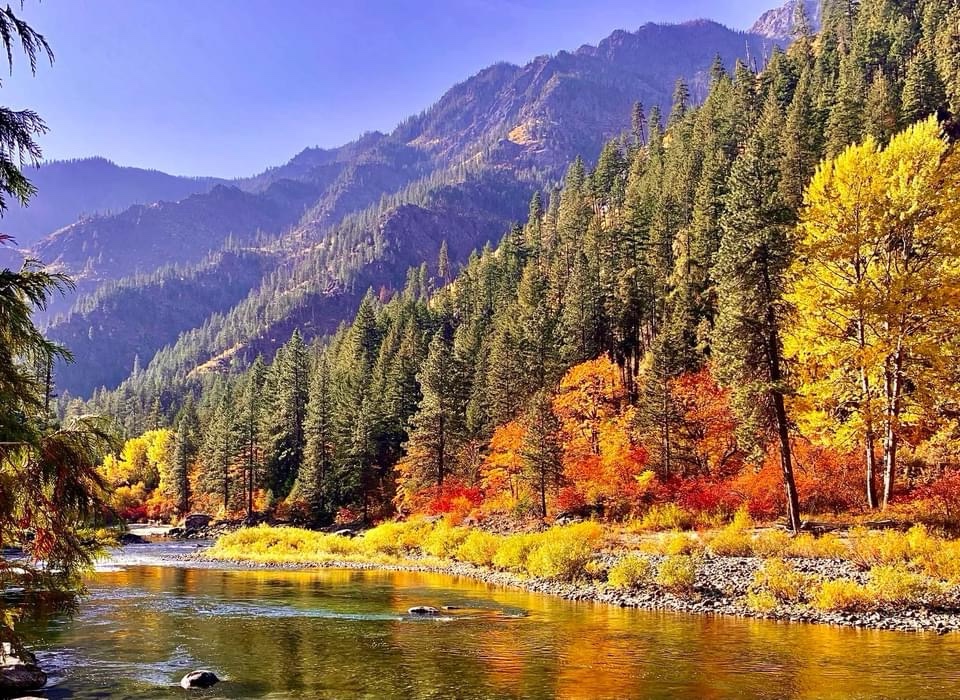 The Splendor of Autumn: A Seasonal Showcase
