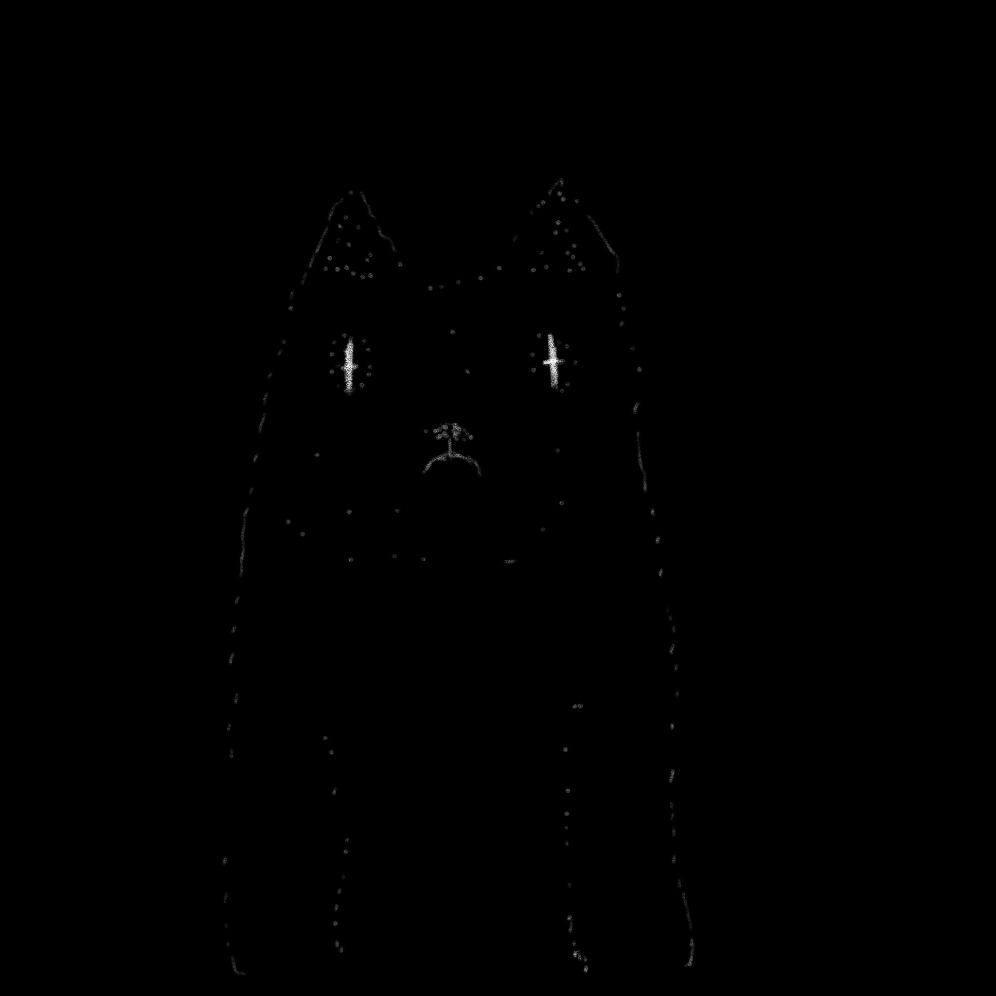 The Mystical Cosmic Cat: A Journey Beyond the Stars
