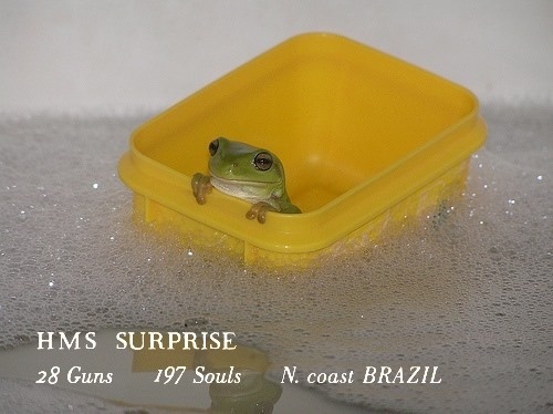 The Meme Returns: Episode 1165