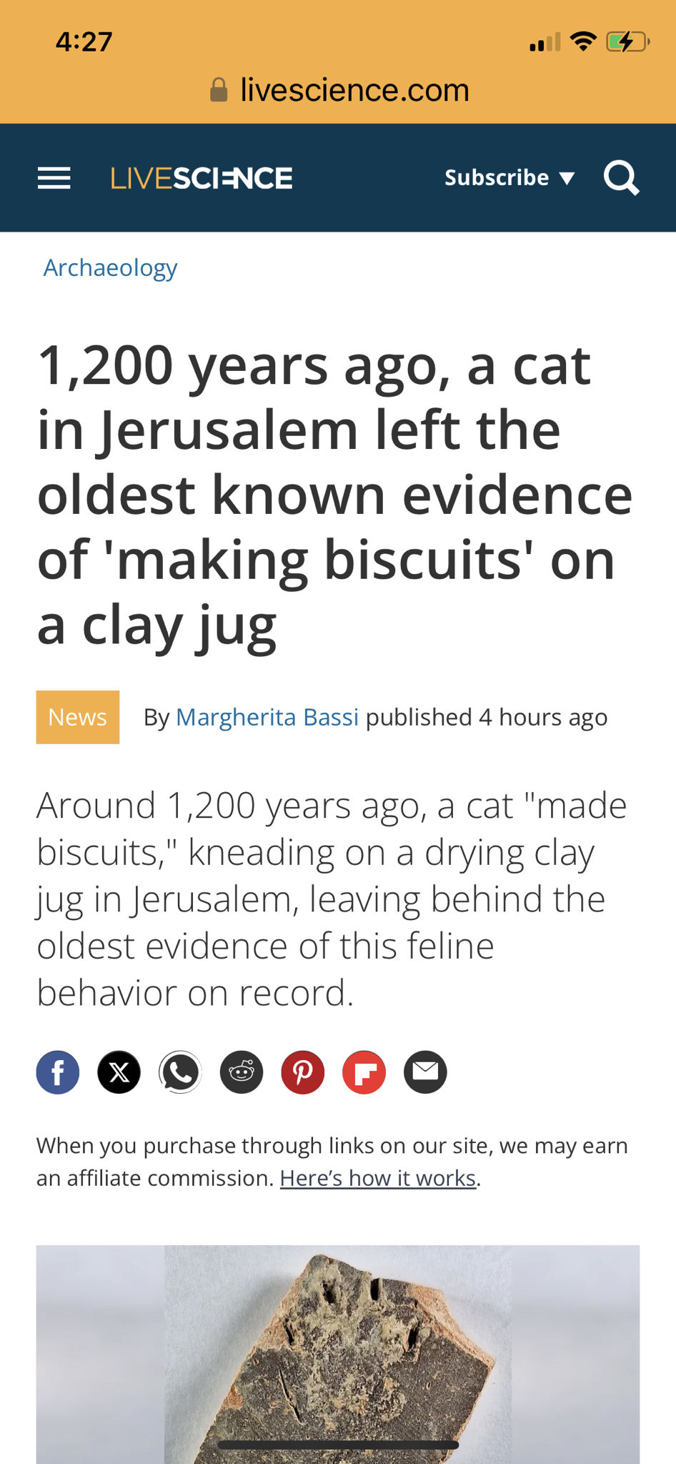 Baking Up a Storm: Making Delicious Biscuits