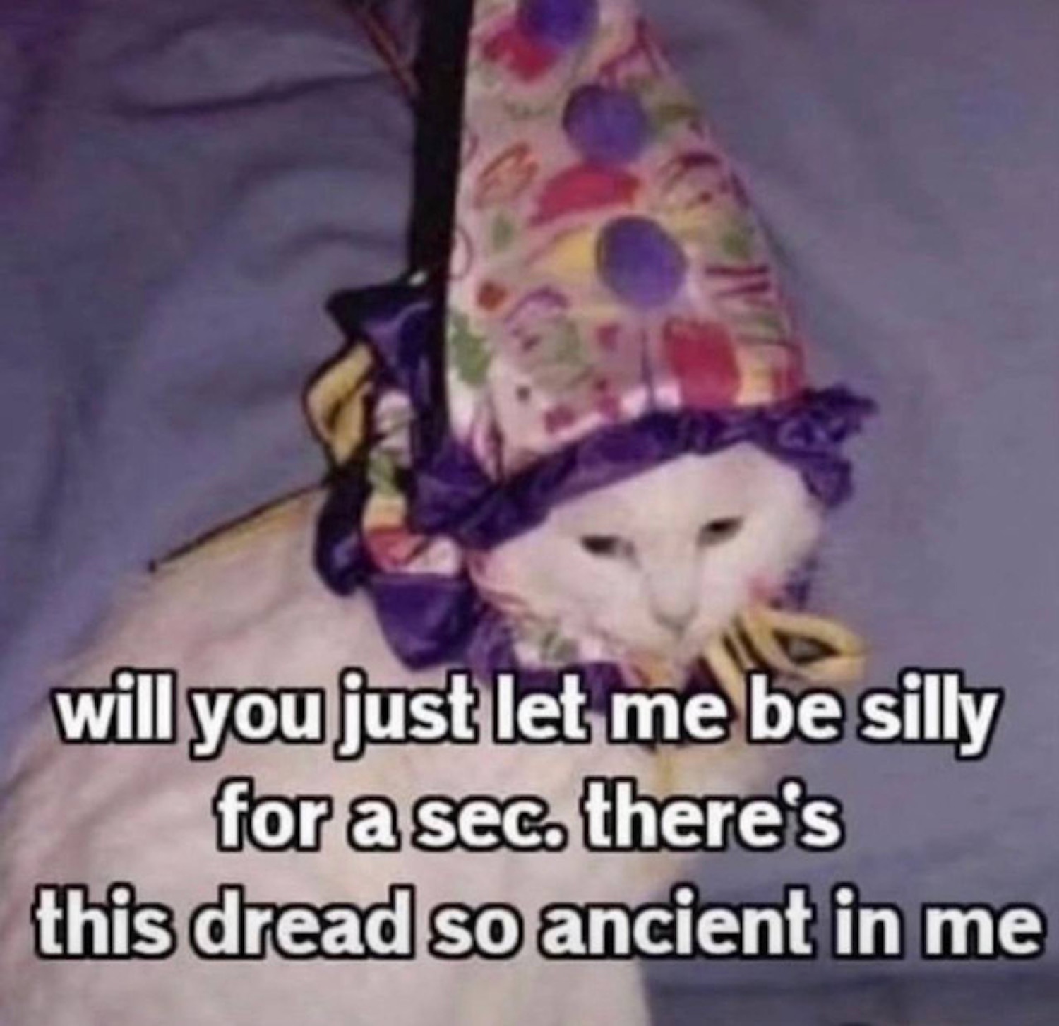 A delightful collection of aged and fermented memes