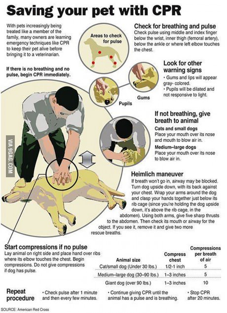A Valuable Infographic Worth Saving