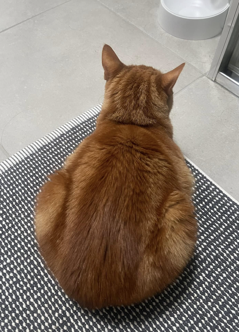 Savoring the Flavor of Delicious Homemade Loaves