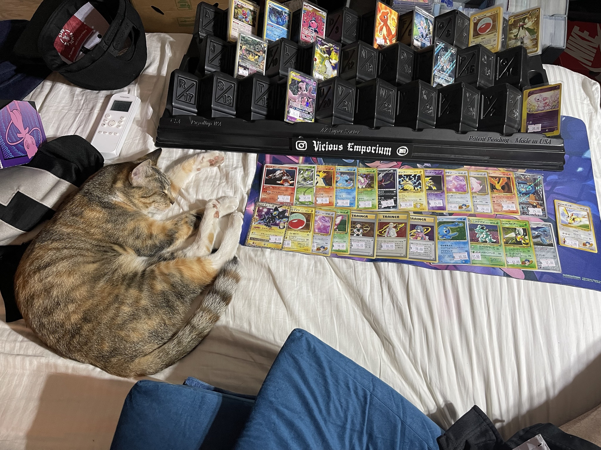 This hardworking cat knows how to sneak in a nap on the job.