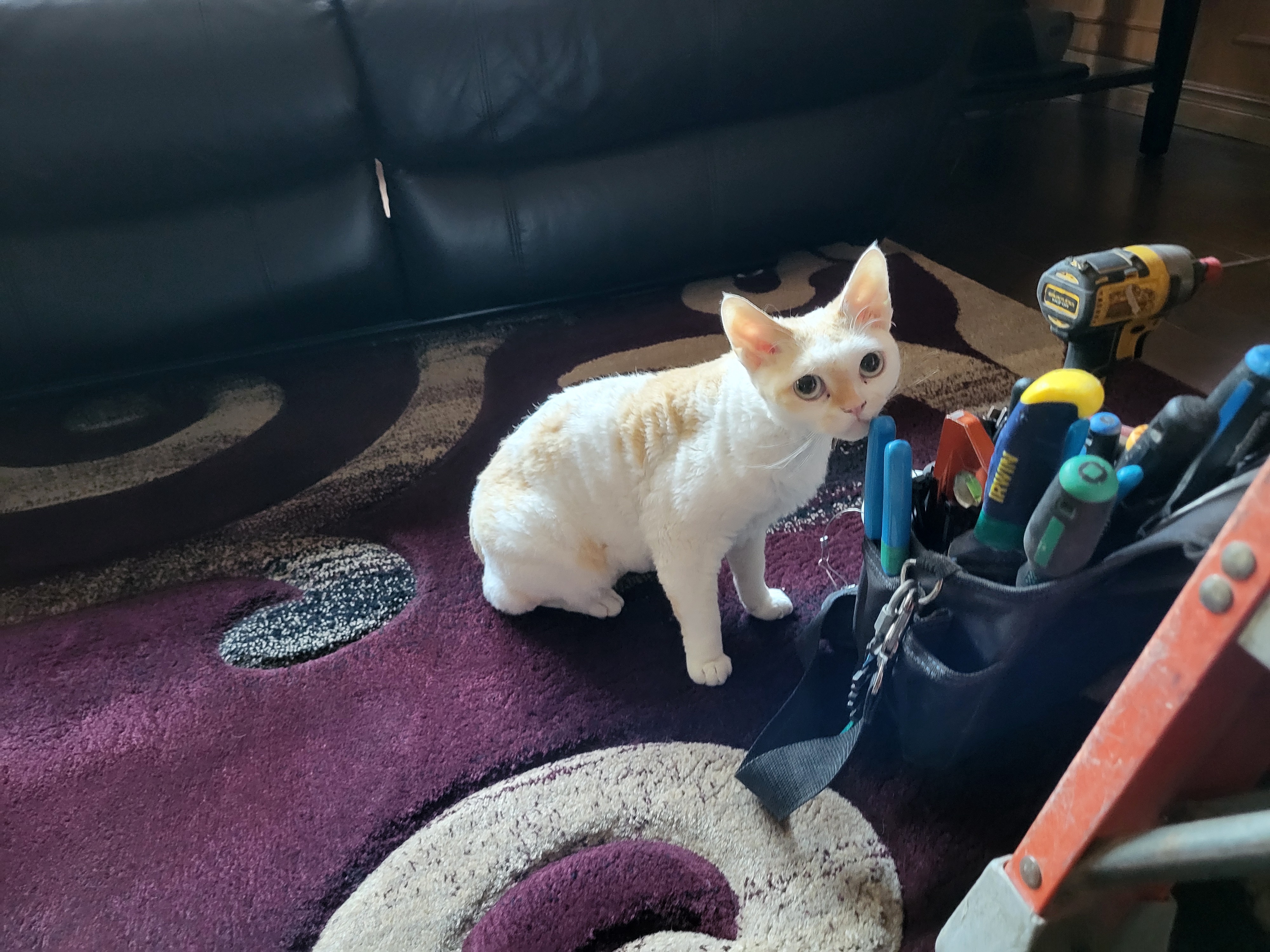 My apprentice's eyes are way too big; he definitely needs some safety glasses!
