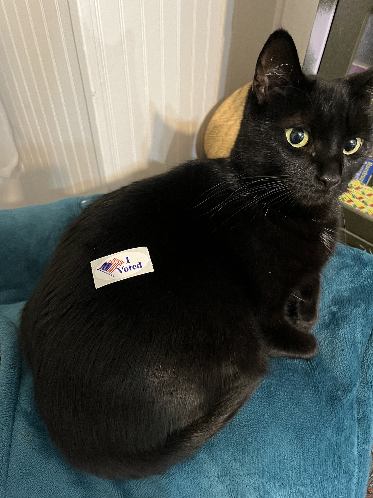 Make your voice heard: VOTE!