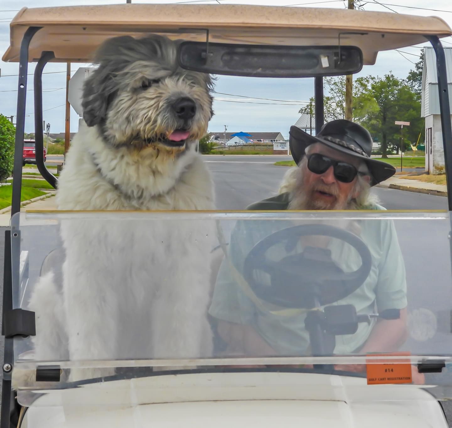 Enjoying a Scenic Ride