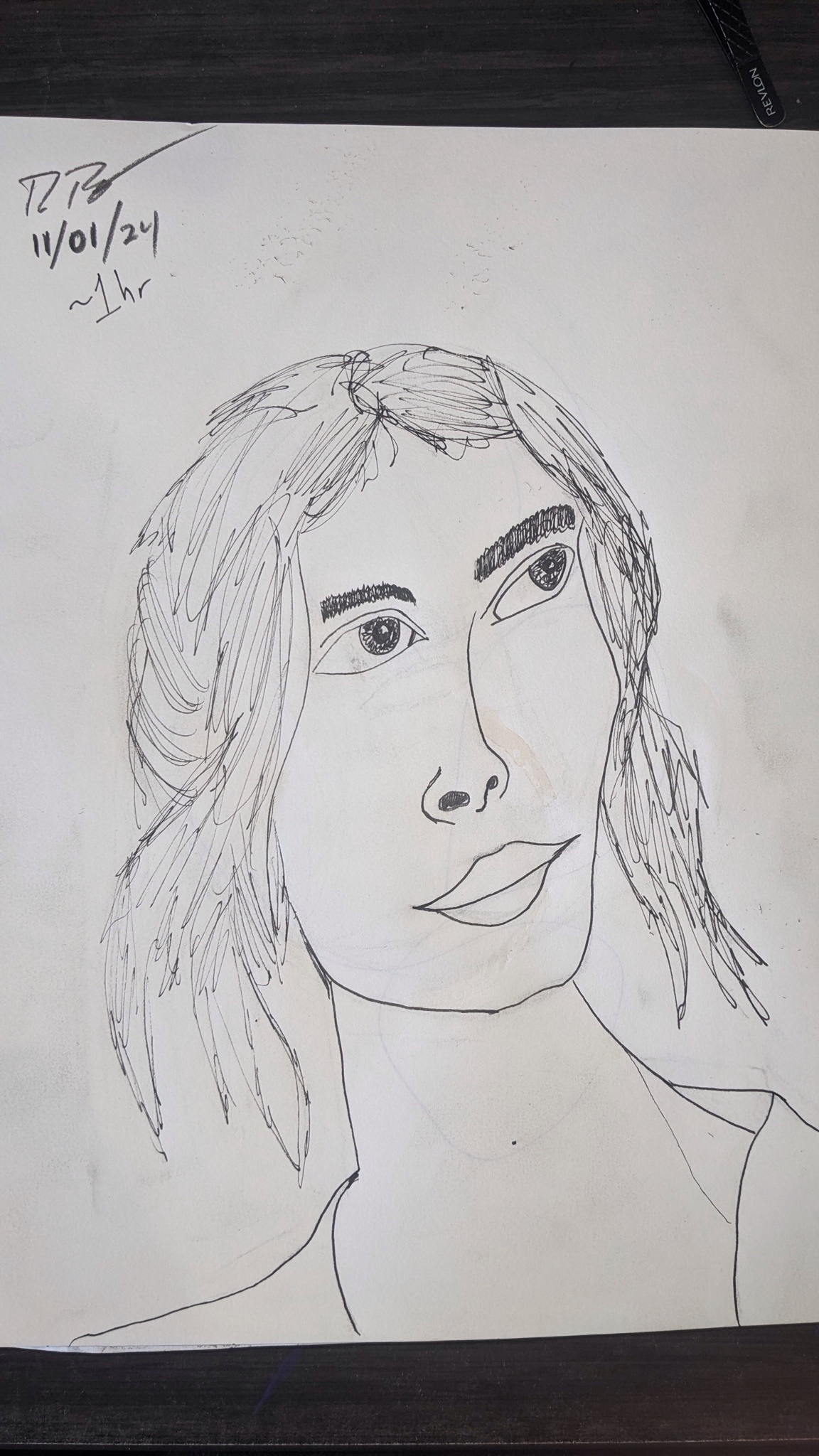 A Daily Portrait Journey Begins