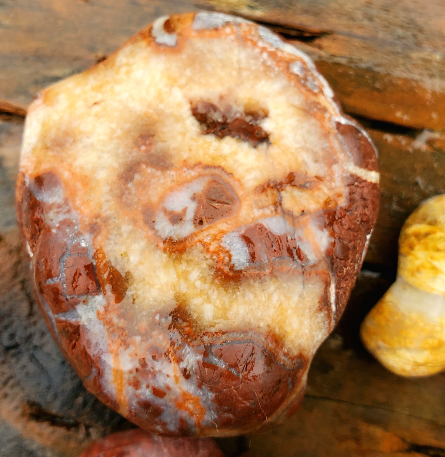 Beach Treasures: Letters and Numbers Discovered on the Shore