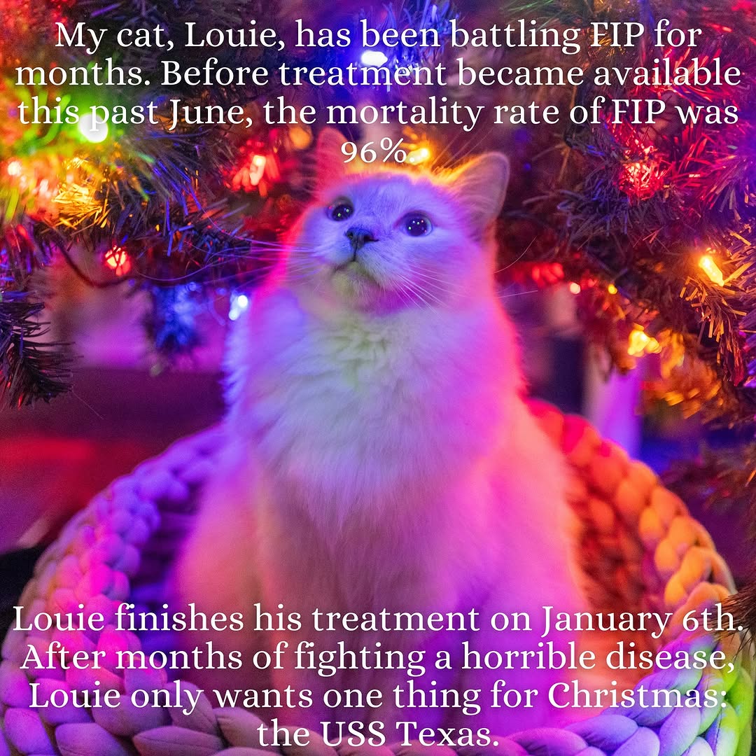 Every little bit helps: Consider donating if you can!