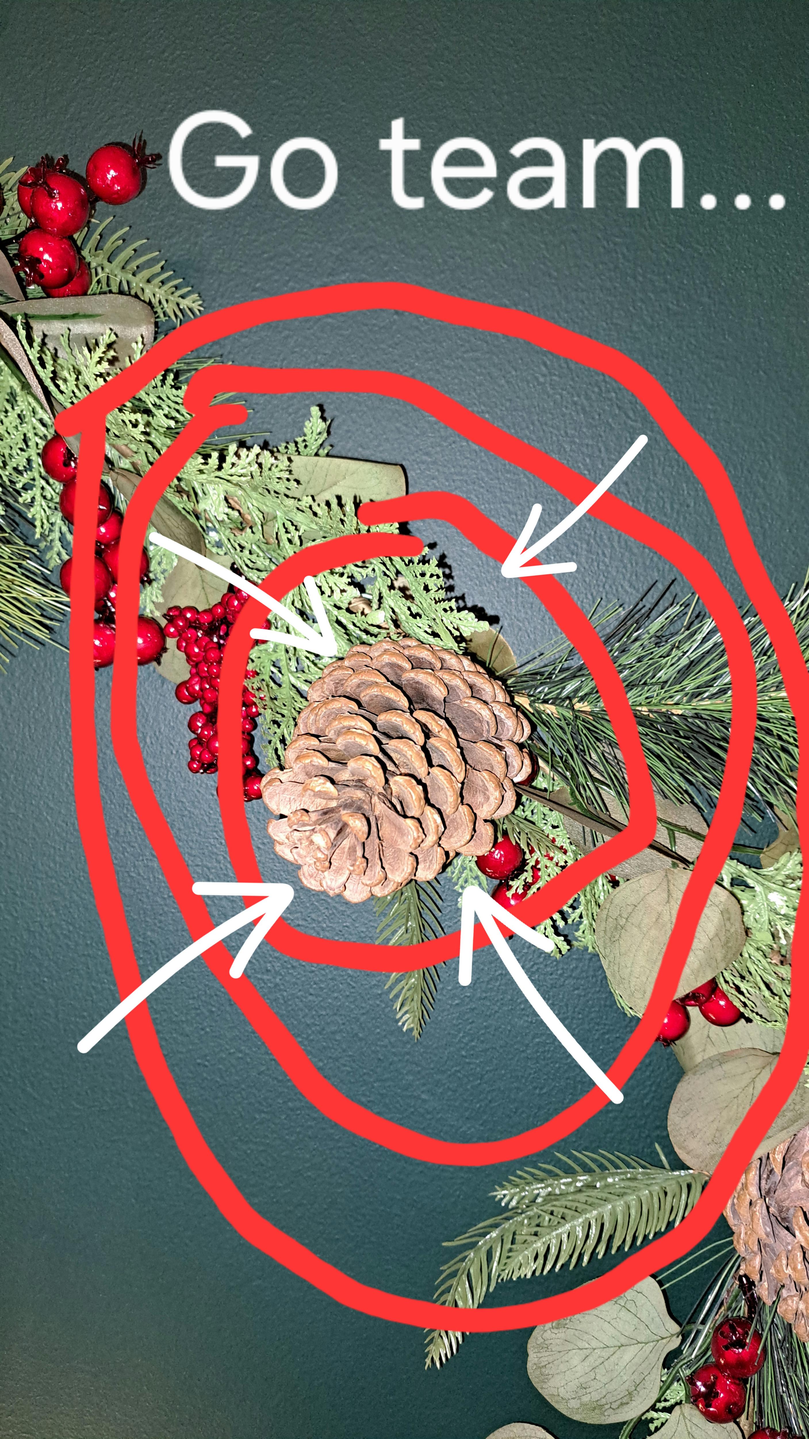 Red Circle Triumphs: A Victory for the Bold
