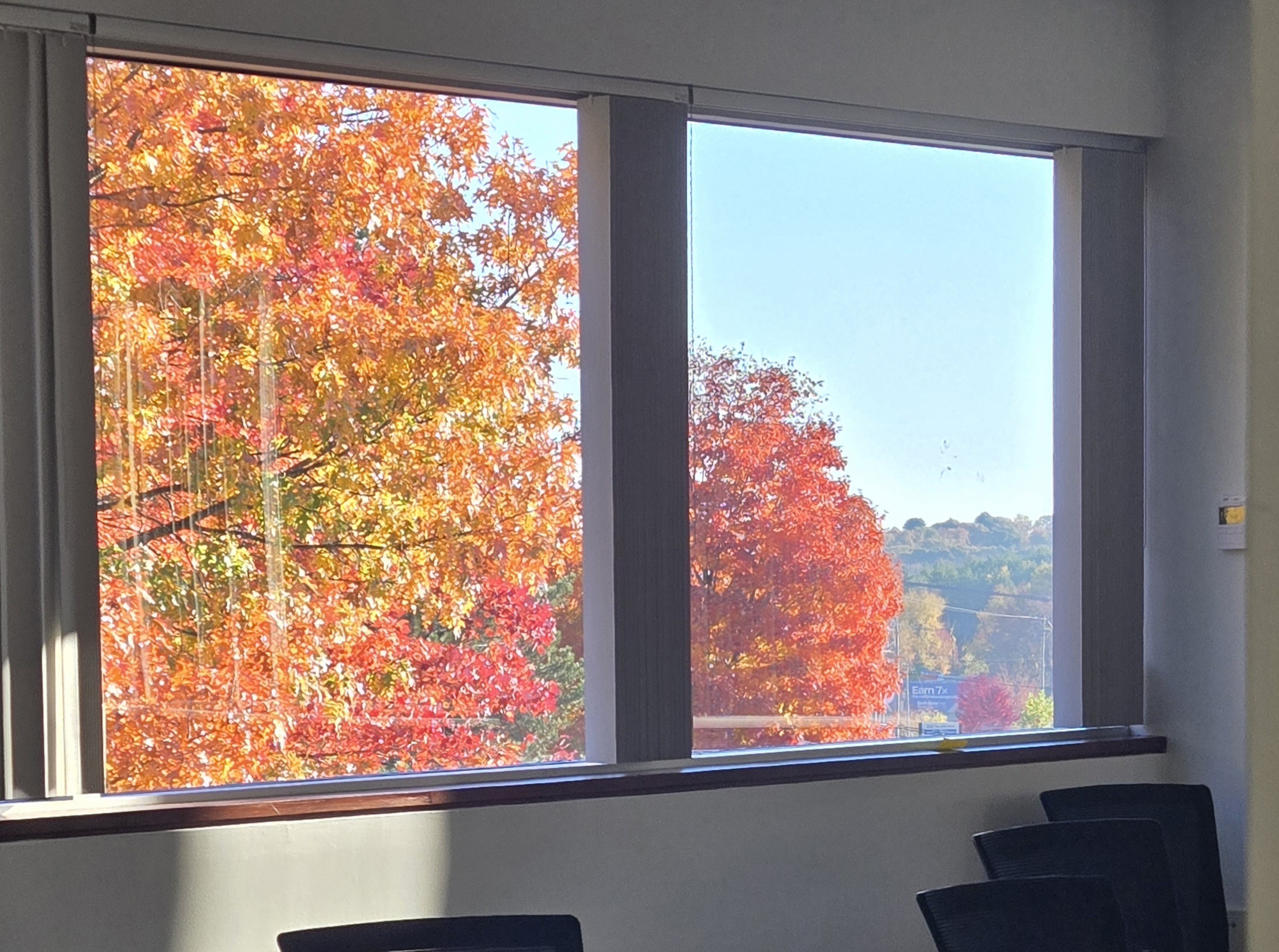 Autumn Views from My Office: Nature's Canvas