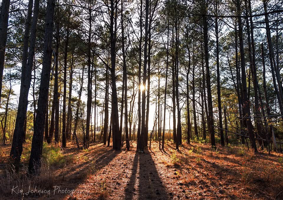 Mysterious Shadows: What Secrets Do They Hold?