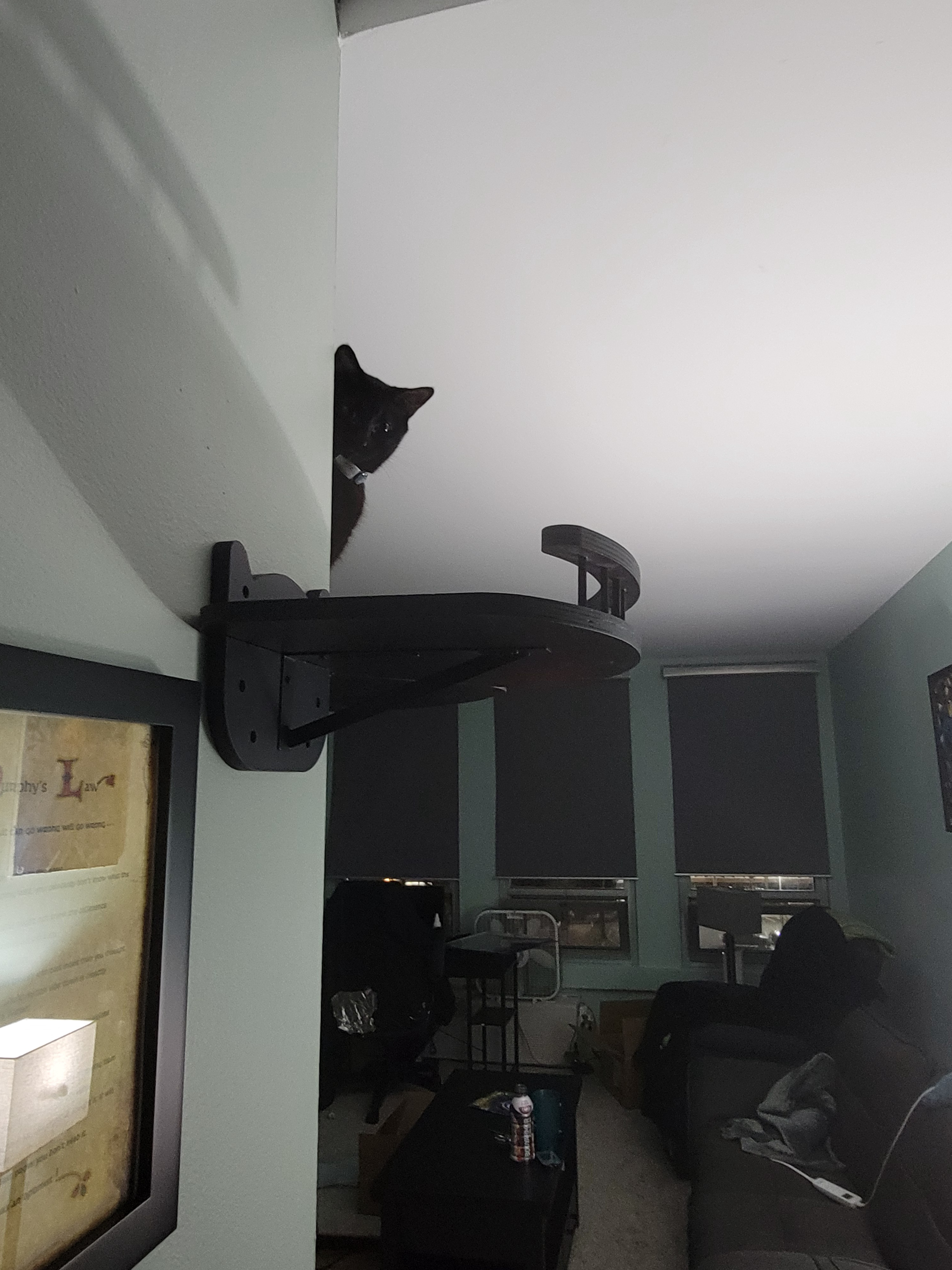 I can't shake the feeling that someone is always watching me~