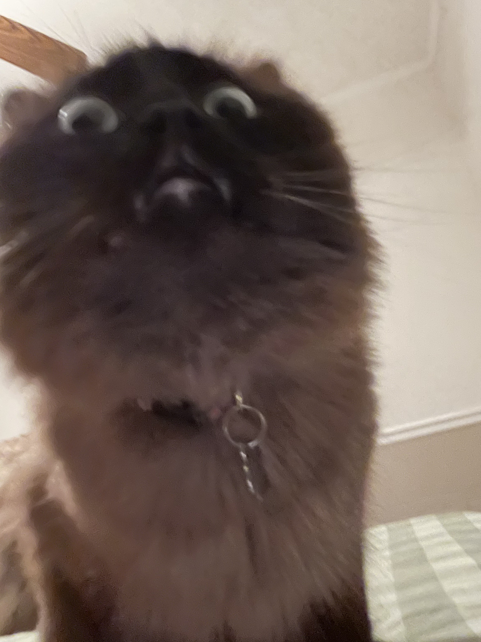 The sheer terror of the moment!