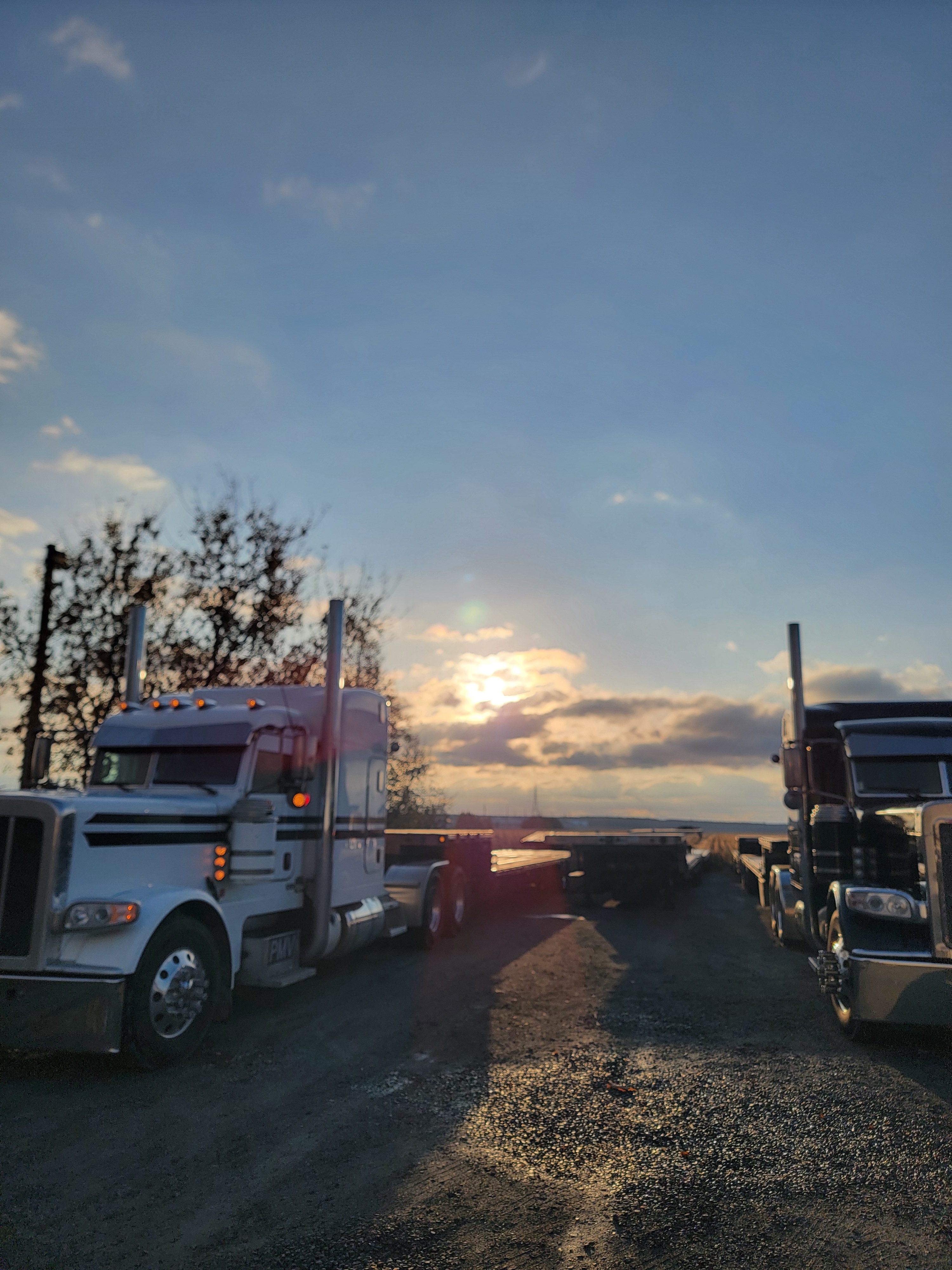 Experience a Day in the Life of a Trucker on November 1, 2024