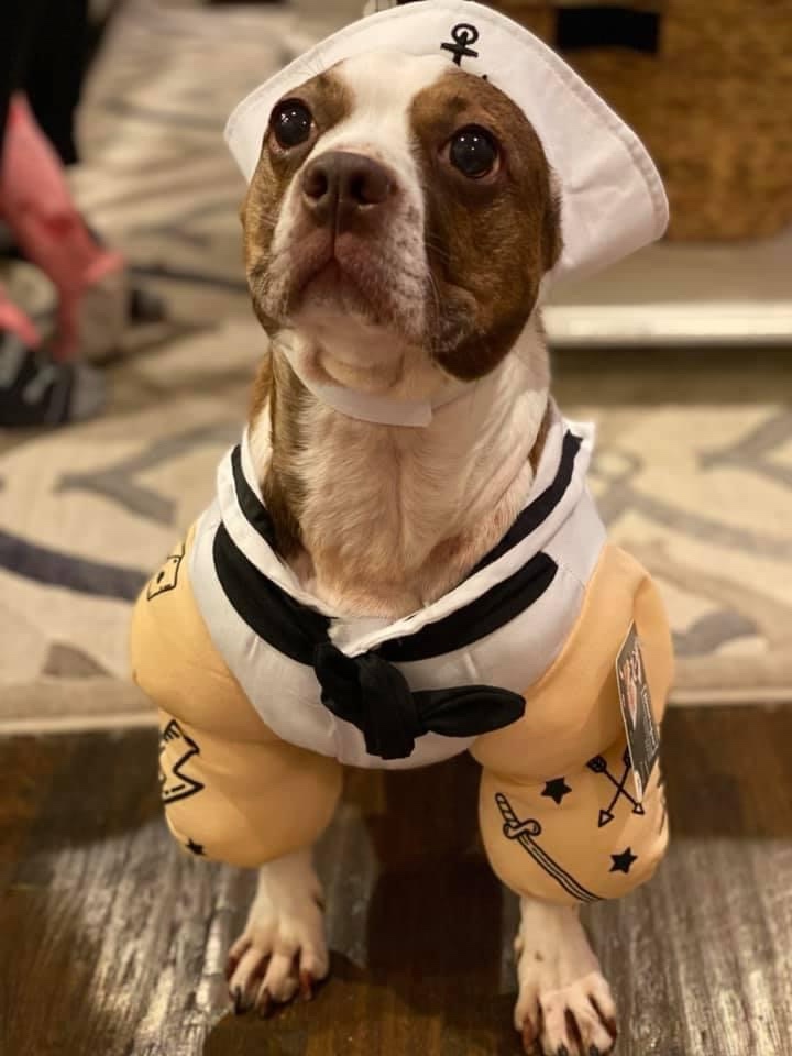 My Boston Transformation into Popeye