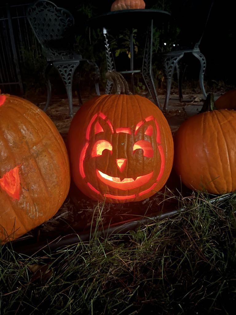 The Purr-fect Halloween Cat Pumpkin