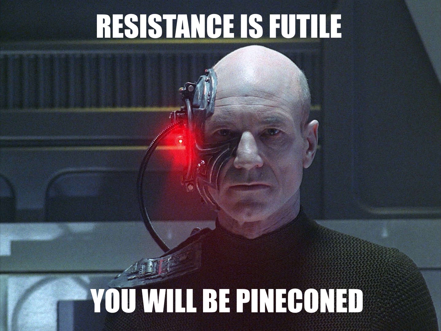 Wishing a Merry Almost Christmas to All Pineconians!