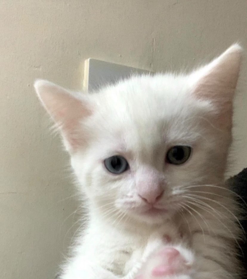 Adorable Baby Photos of Young Tony