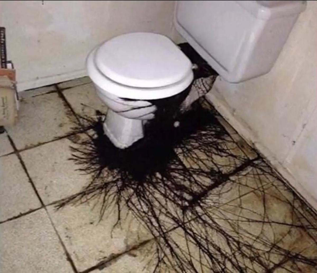 The Infamous Cursed Toilet