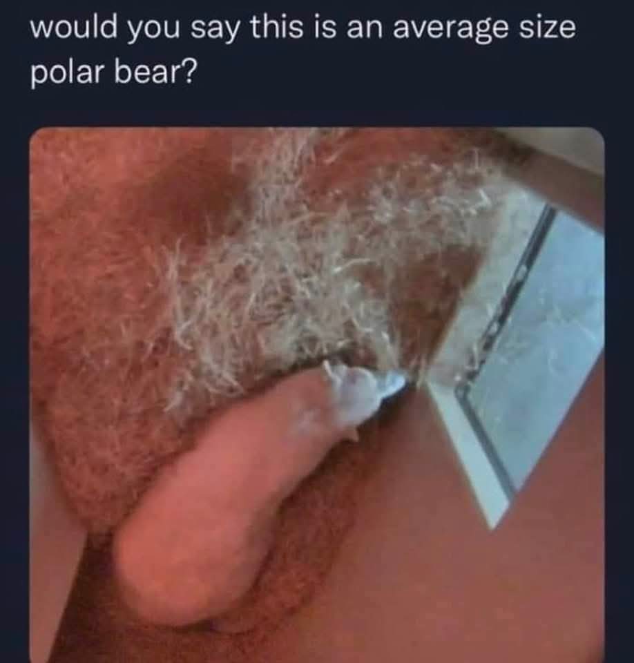It's Absolutely Massive!