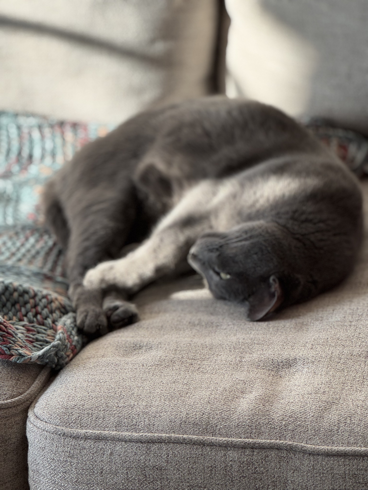 The Life of a Freeloader: A Humorous Take