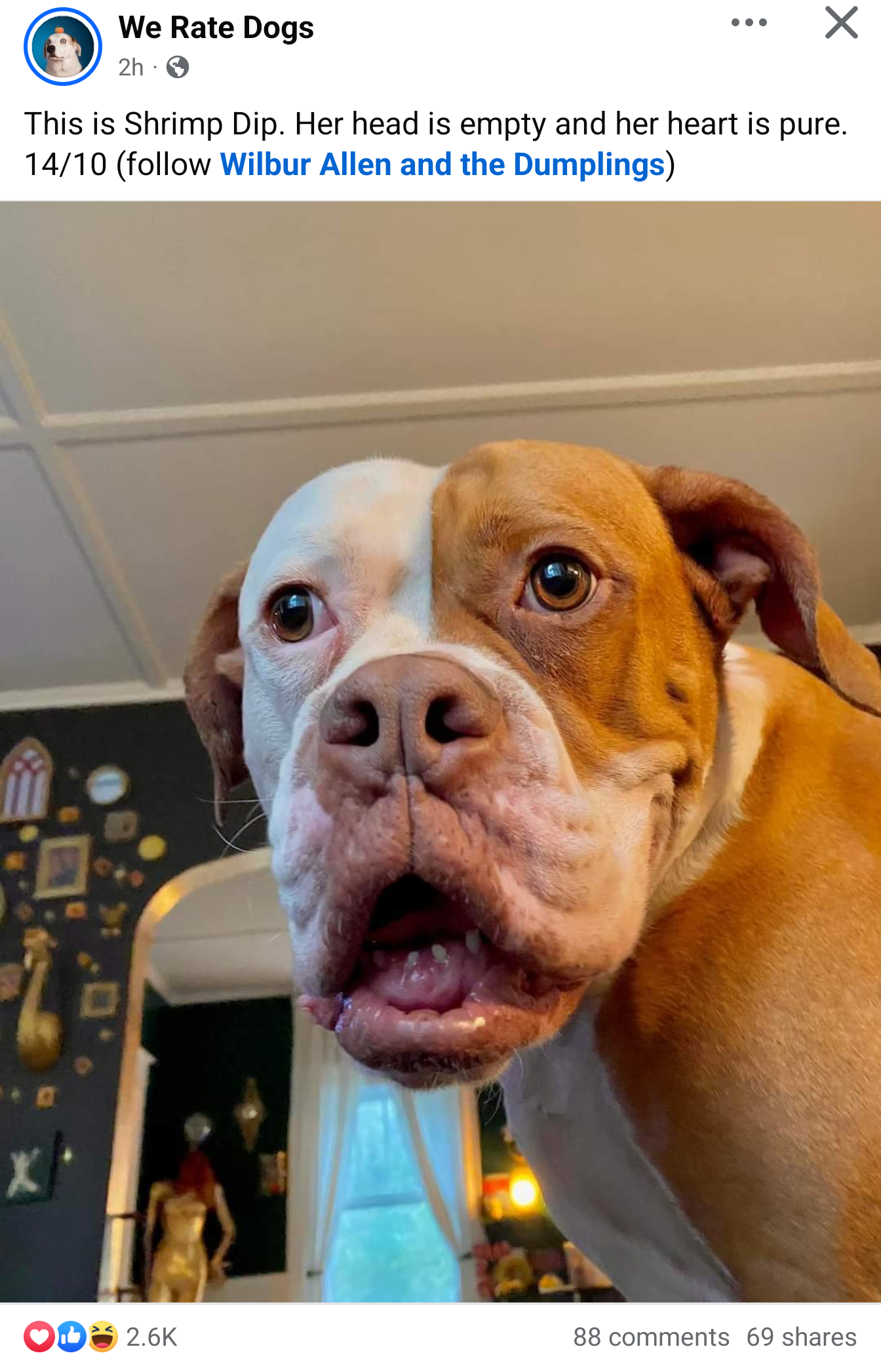 The Most Iconic Face You'll Ever See