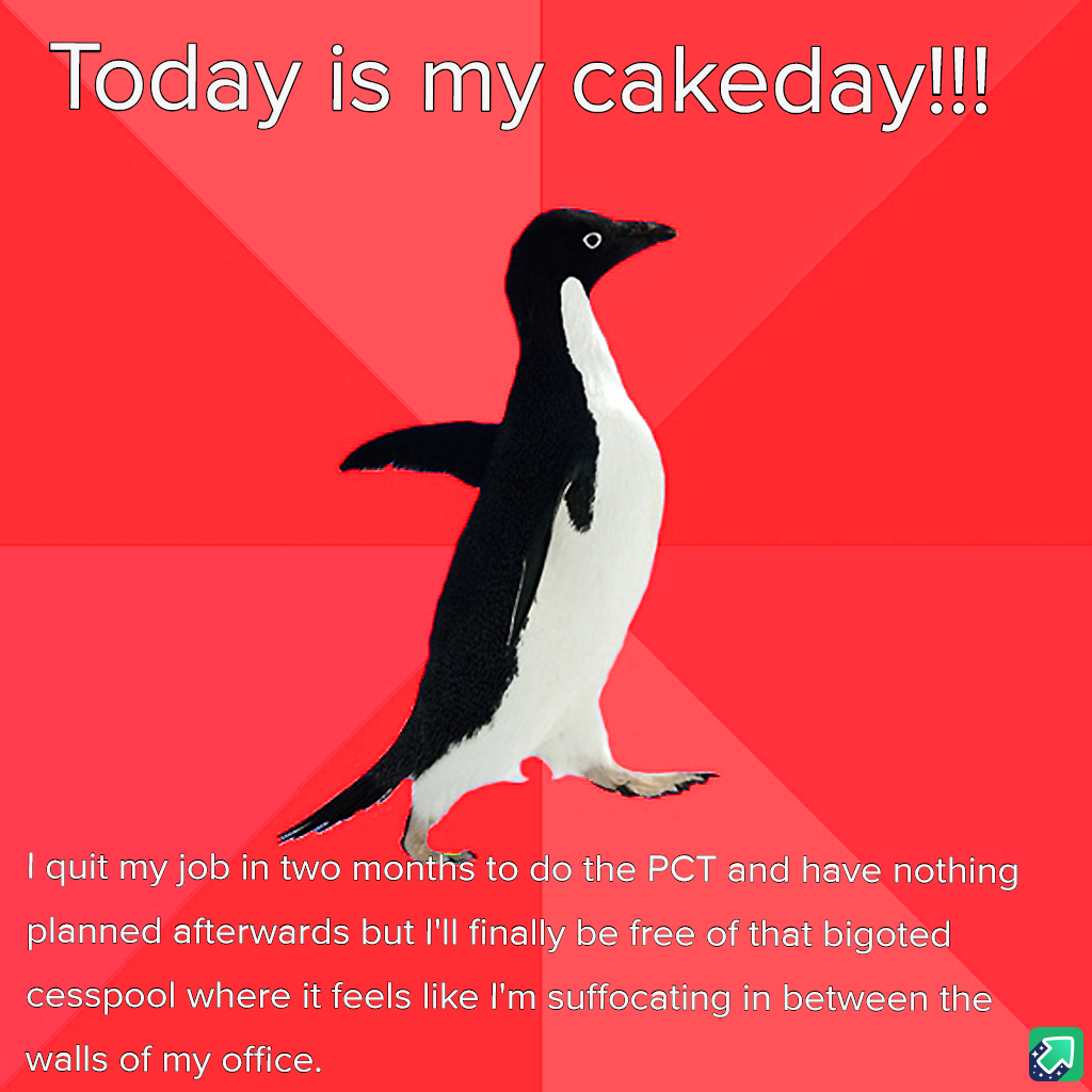 It's my cakeday, and I'm ready to celebrate!