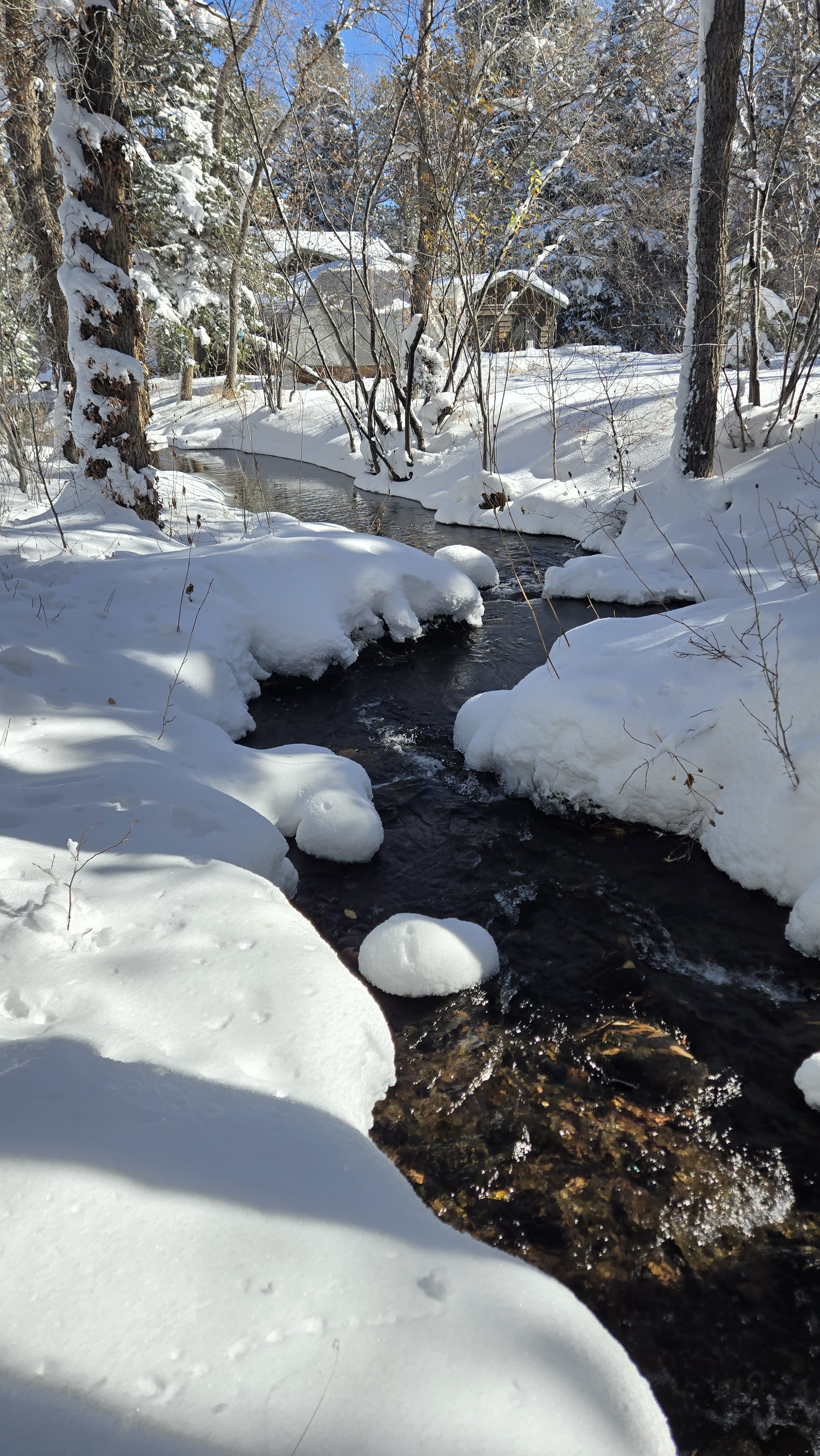 The first snowfall in Colorado: A beautiful early season sight