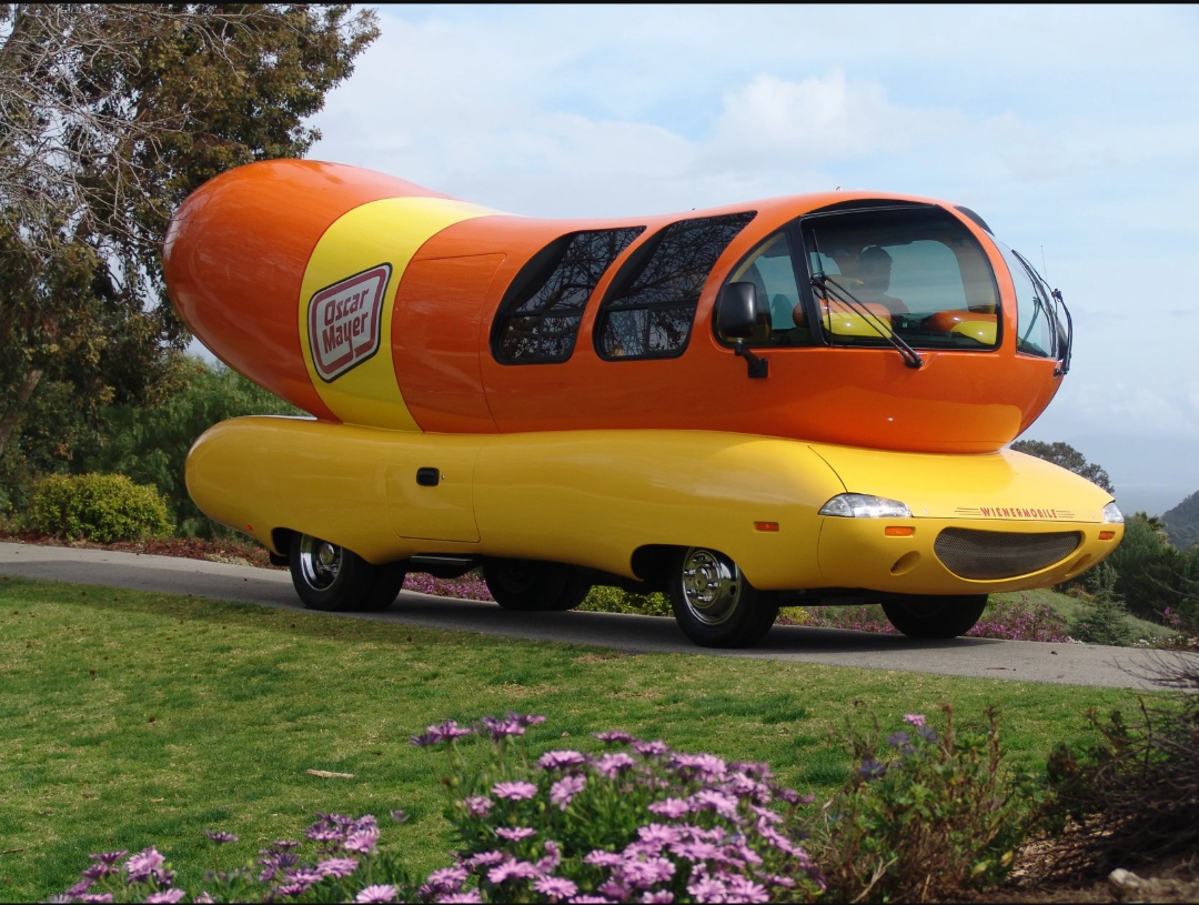 Meat from a Car? You Won't Believe This!