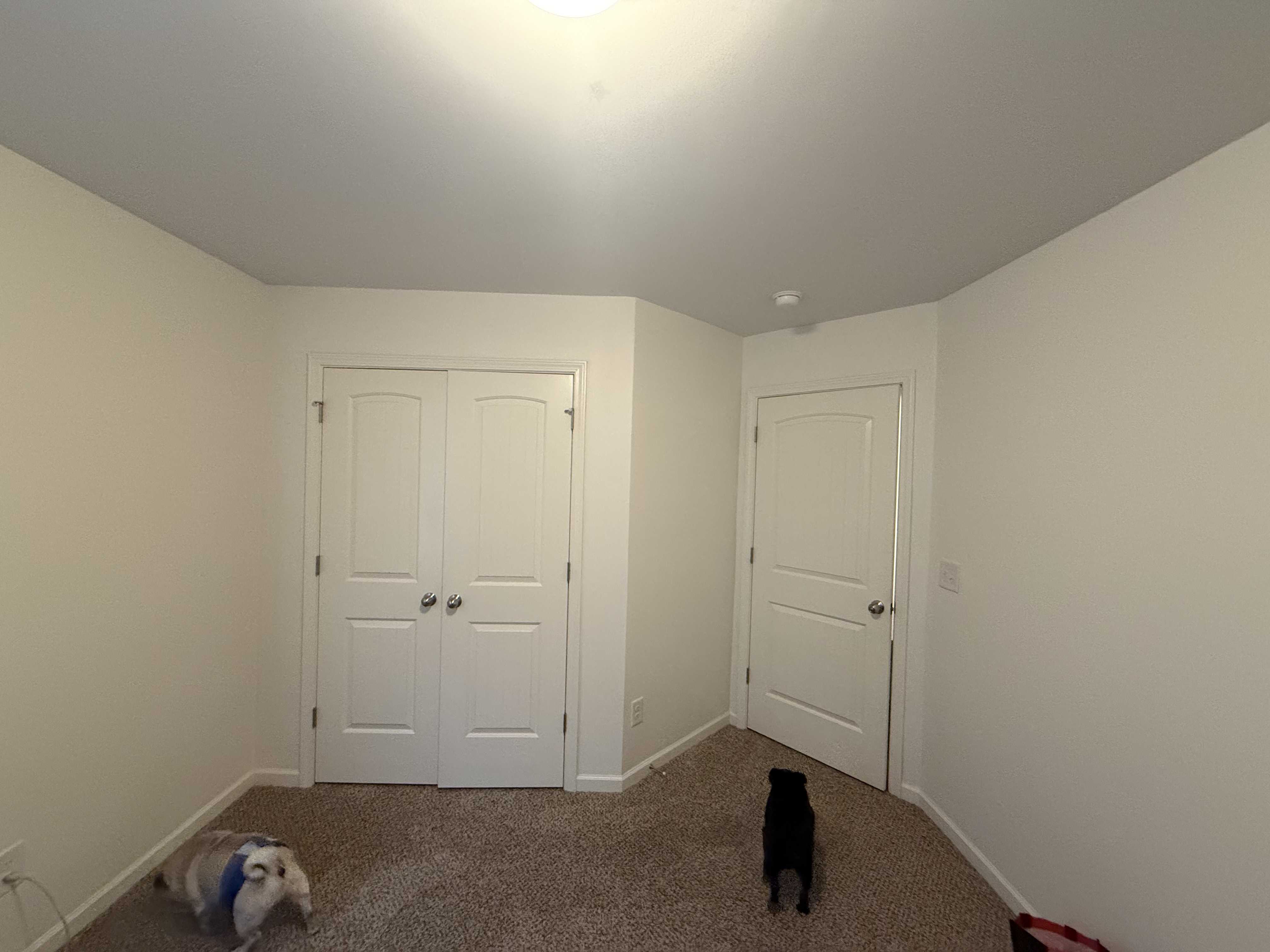 Introducing the New Braking Balls Studio