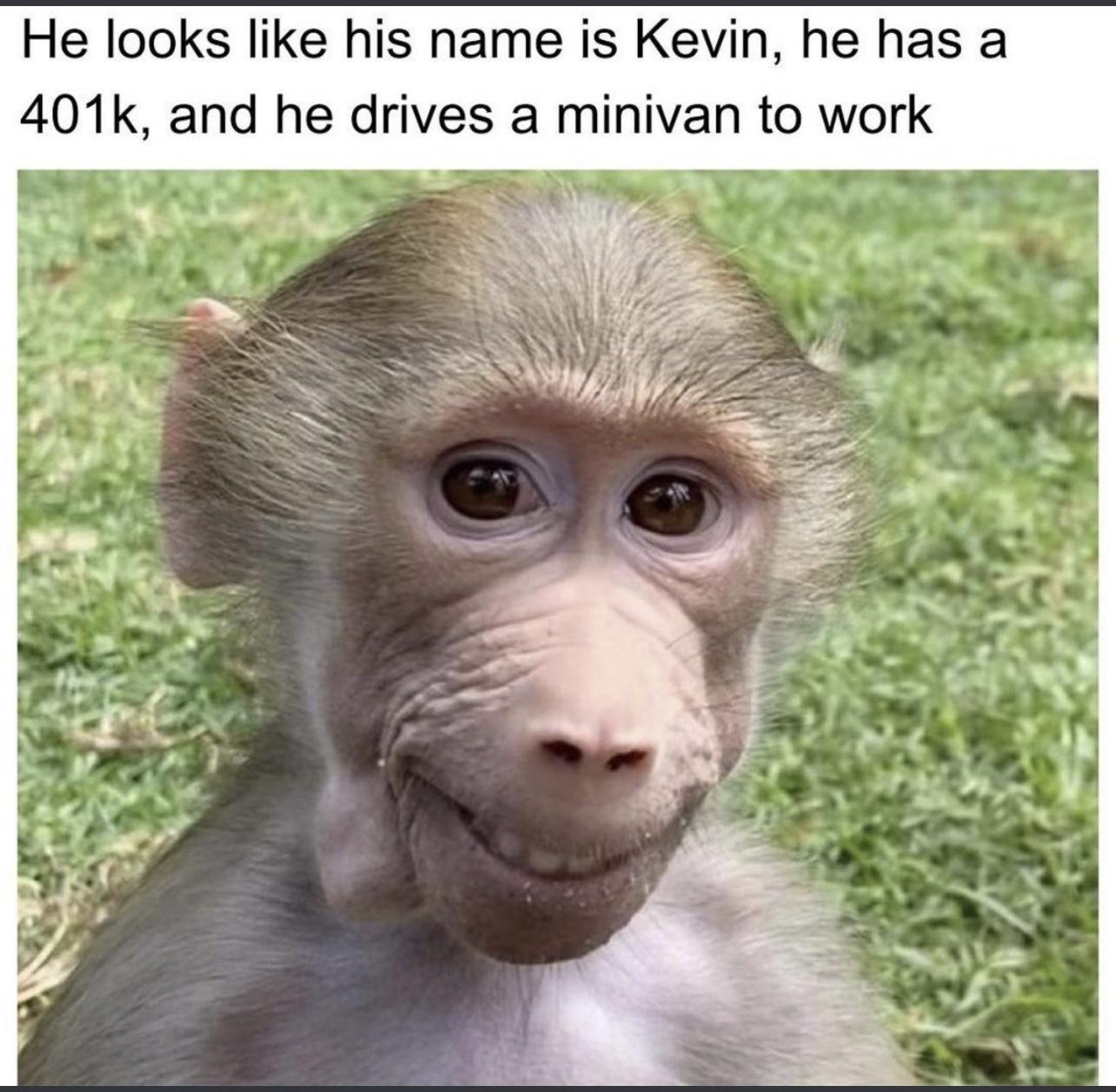 My Adorable Collection of Kevin Memes